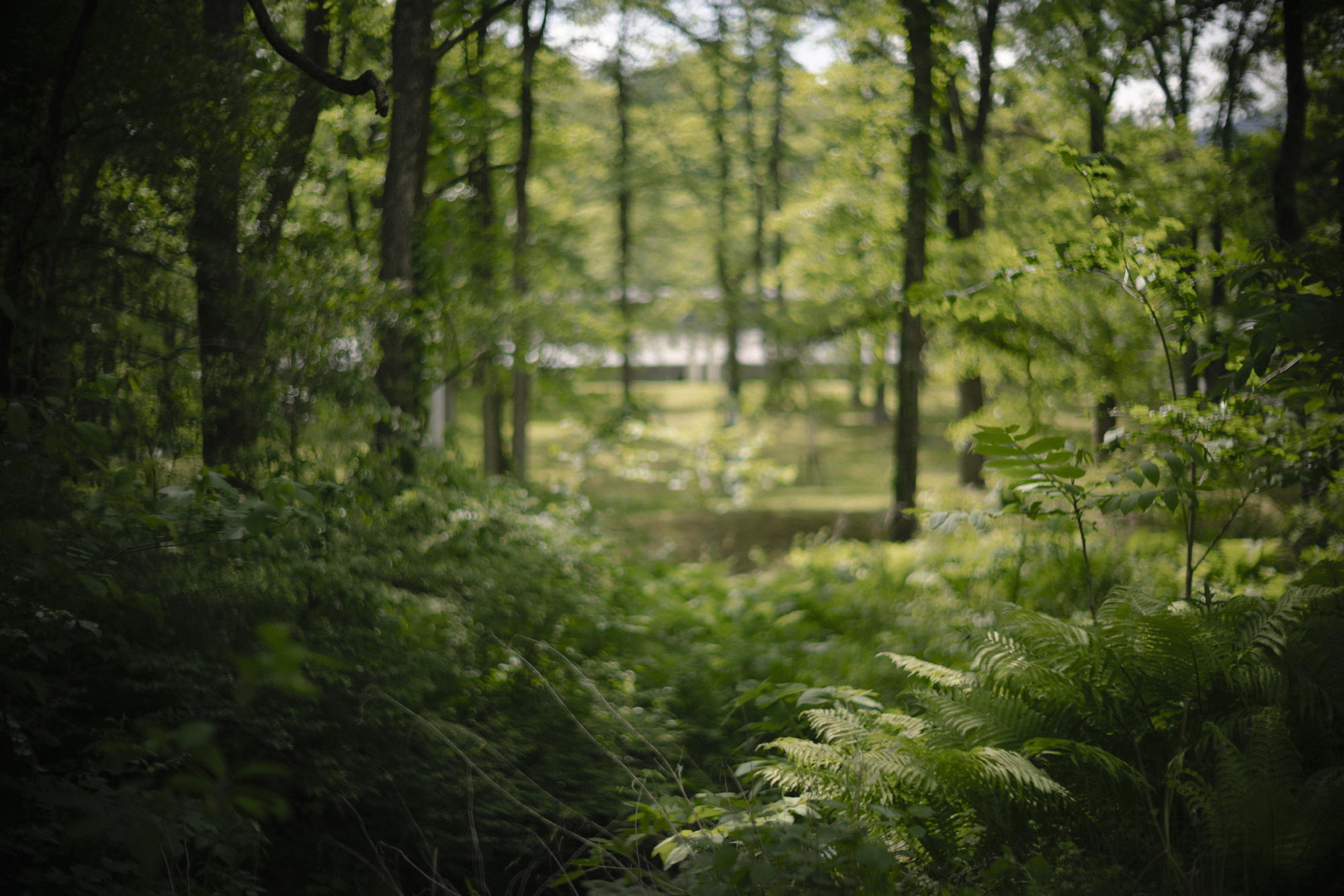 GARDEN | SEZON MUSEUM OF MODERN ART